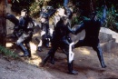 to-the-death-jemhadar-11.jpg