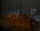 101-emissary-1164.jpg