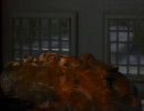 101-emissary-1165.jpg