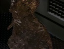 101-emissary-1174.jpg