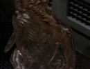 101-emissary-1175.jpg