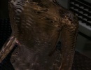 101-emissary-1176.jpg