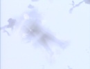 101-emissary-1445.jpg