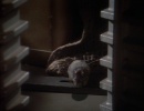 103-past-prologue-430.jpg