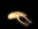 107-qless-898.jpg