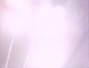 111-the-nagus-489.jpg