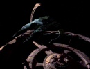 112-vortex-455.jpg