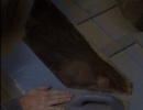 112-vortex-617.jpg