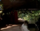 202-circle-368.jpg