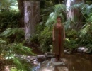 202-circle-505.jpg