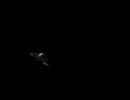 223-crossover-090.jpg