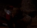 409-sword-of-kahless-817.jpg