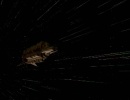 414-return-to-grace-467.jpg