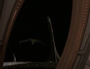 414-return-to-grace-833.jpg