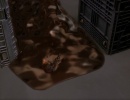 426-broken-link-180.jpg
