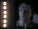 514-in-purgatorys-shadow-598.jpg