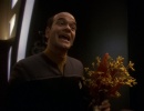 516-dr-bashir-presume-350.jpg