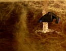523-blaze-of-glory-0408.jpg