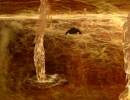 523-blaze-of-glory-0409.jpg