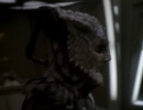 606-sacrifice-of-angels-0605.jpg