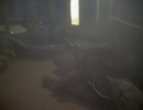 606-sacrifice-of-angels-0744.jpg