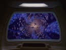 606-sacrifice-of-angels-0874.jpg