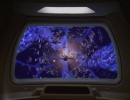 606-sacrifice-of-angels-0966.jpg