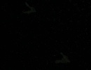 707-once-more-unto-the-breach-382.jpg