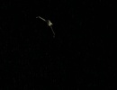 707-once-more-unto-the-breach-767.jpg