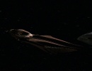 714-chimera-043.jpg