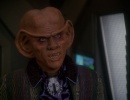 714-chimera-527.jpg