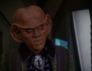 714-chimera-528.jpg