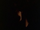 718-til-death-do-us-part-151.jpg