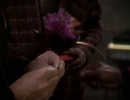 718-til-death-do-us-part-661.jpg