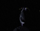725-what-you-leave-behind-0650.jpg